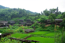 會同網(wǎng)站建設(shè)