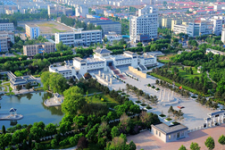樂亭網(wǎng)站建設(shè)