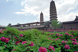 迎澤網(wǎng)站建設