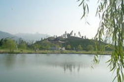 漳浦網(wǎng)站建設(shè)