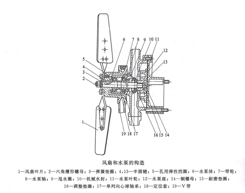 風(fēng)扇和水泵的構(gòu)造