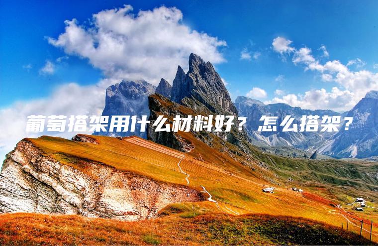 葡萄搭架用什么材料好？怎么搭架？
