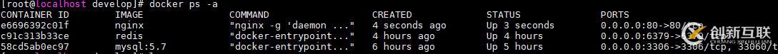 docker安裝nginx