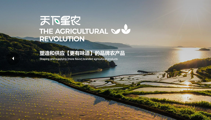 網(wǎng)站建設(shè) 網(wǎng)站建設(shè)