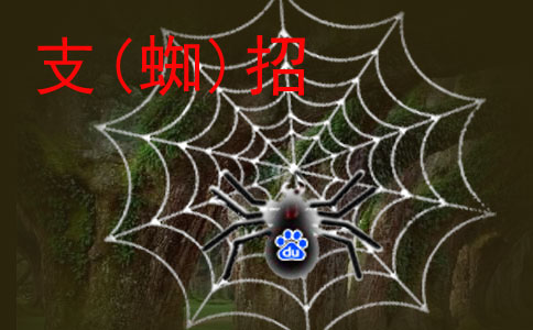 如何降低企業(yè)做網(wǎng)站的優(yōu)化成本?