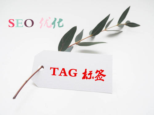 TAG標(biāo)簽的使用對(duì)于SEO優(yōu)化的重要性是什么？